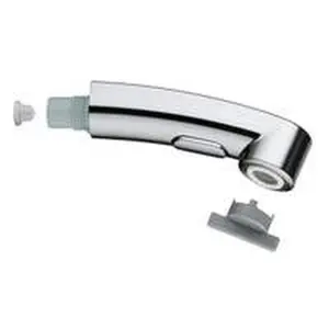Grohe uittrekbare handdouche voor Keukenmengkraan 30305000 46956000