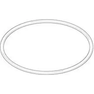 Dornbracht O-ring voor o.a. Inbouwthermostaat met stopkraan 09141002390