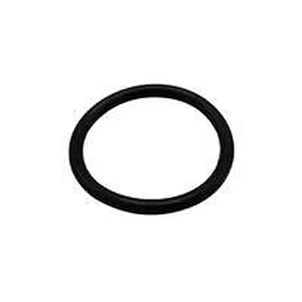 Remeha o-ring 25,07x 2,62
