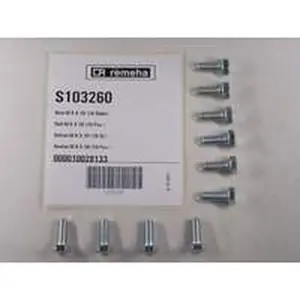 Remeha bout M8 x 20 mm voor o.a. Gas 610 Eco Pro S103260