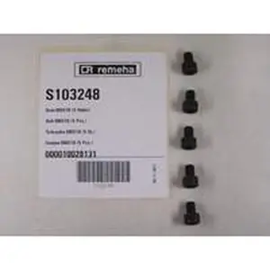 Remeha bout M8 x 10 mm