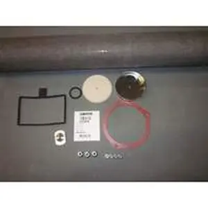 Remeha brander 10 leden
