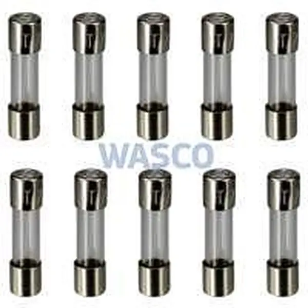 Remeha glaszekering 2A traag 10 stuks voor Avanta en Calenta e.a.