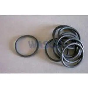Nefit O-ring set 10 stuks voor o.a. EcomLine Excellent HR 22 17004S