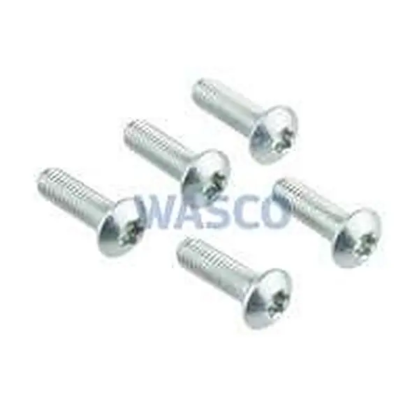 Nefit schroef M5 x 16 mm 5 stuks