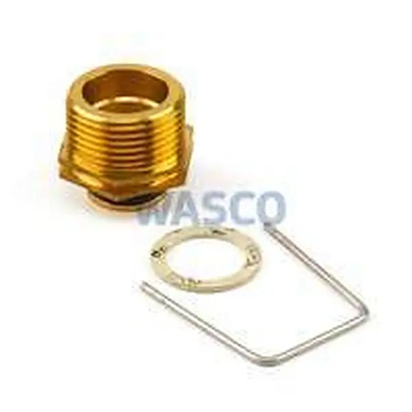 Douille filetée Nefit pour F 2555 e.a. 87003061100