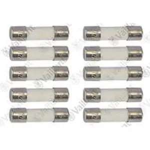 Vaillant zekering (10 stuks)