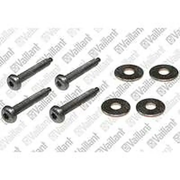 Vaillant schroef M5x30 + ring (set 4)