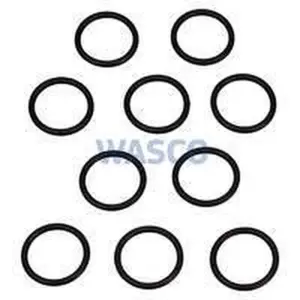 Vaillant O-ring (10 stuks) voor o.a. hrSOLIDE VHR 24-28 C 981163