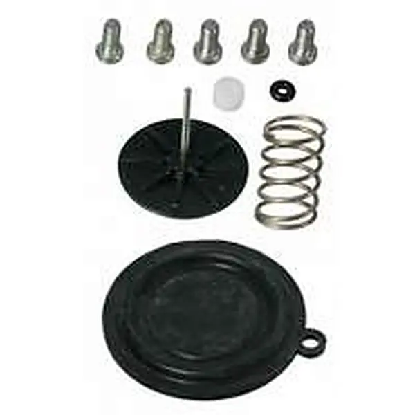 Vaillant membraanset MAG19/2XZ-R119-24/2XI-R1GXI-R1