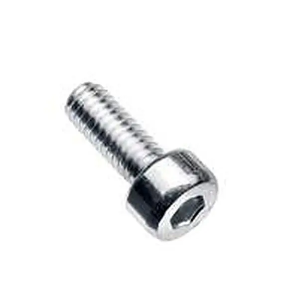 Vis à six pans creux Intergas M4 x 10 mm