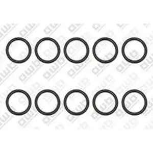 AWB O-ring t.b.v. ThermoMaster (o.a. ThermoMaster C-XV 35) 0020166932