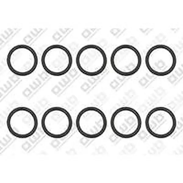 AWB O-ring t.b.v. ThermoMaster (o.a. ThermoMaster C-XV 35) 0020166932