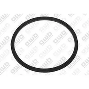 AWB O-ring voor ThermoMaster C-XV 25 0020221829