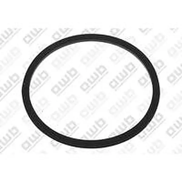 AWB O-ring voor ThermoMaster C-XV 25 0020221829