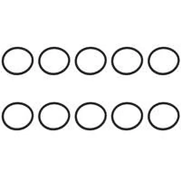 AWB O-ring 10 stuks voor o.a. ThermoGrand 45S 0020079633
