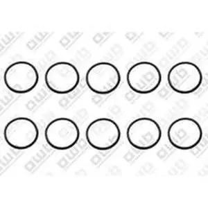 AWB O-ring 10 stuks voor o.a. ThermoGrand 45S 0020079612