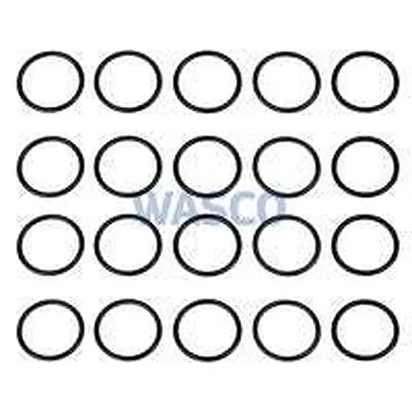 AWB O-ring voor o.a. ThermoMaster VR 24 T S5466500
