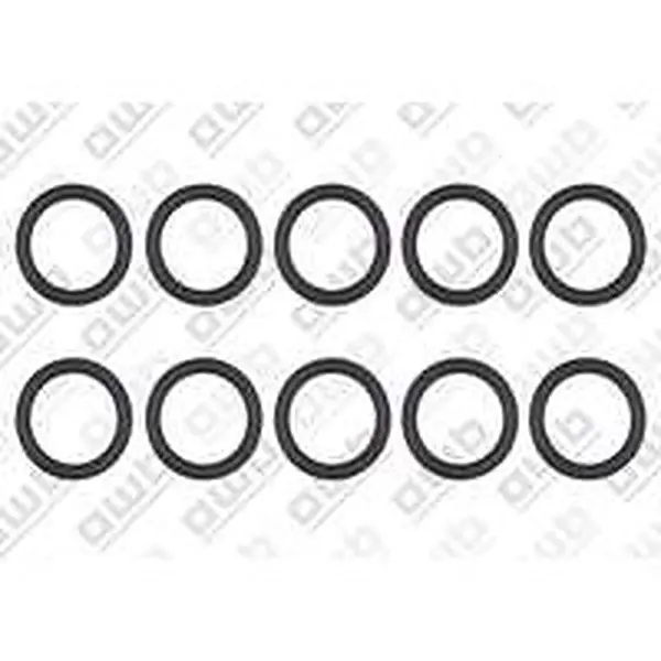 AWB O-ring 10 stuks voor ThermoElegance Advance 6 0020125439