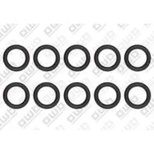 AWB O-ring 10 stuks voor ThermoElegance Advance 6 0020097203