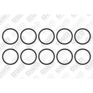 AWB O-ring 10 stuks voor o.a. ThermoElegance Advance 3-A/1 0020097226