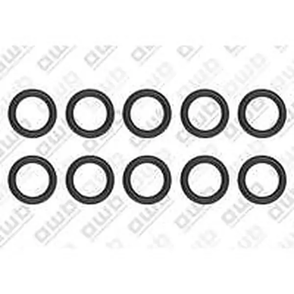AWB O-ring 10 stuks voor o.a. ThermoElegance Advance 3-A/1 0020097187