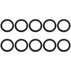 AWB O-ring 10 stuks voor o.a. ThermoMaster C-XV 35 0020125448