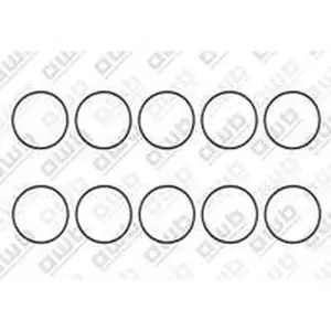AWB O-ring 10 stuks voor ThermoElegance Advance 6 0020118135