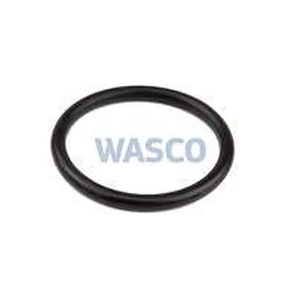 Atag O-ring dwk