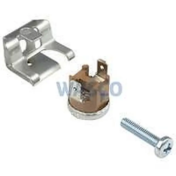 Limiteur de température Bosch 110°