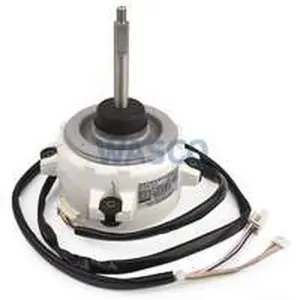 Wolf motor ventilator