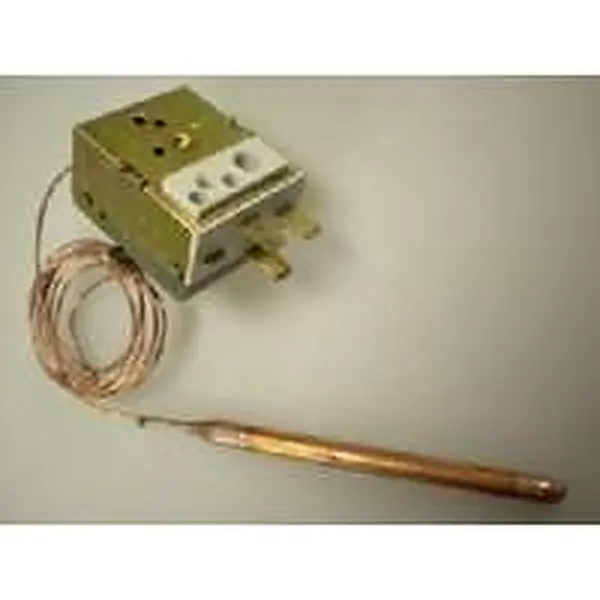 Thermostat de régulation Winterwarm pour heater URS