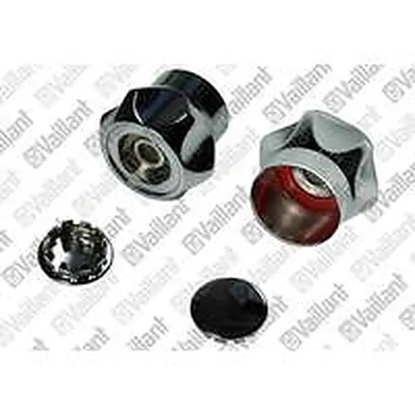 Vaillant knop (rood blauw) voor o.a. MAG Mini 11-0/1 GX Open 0020193829
