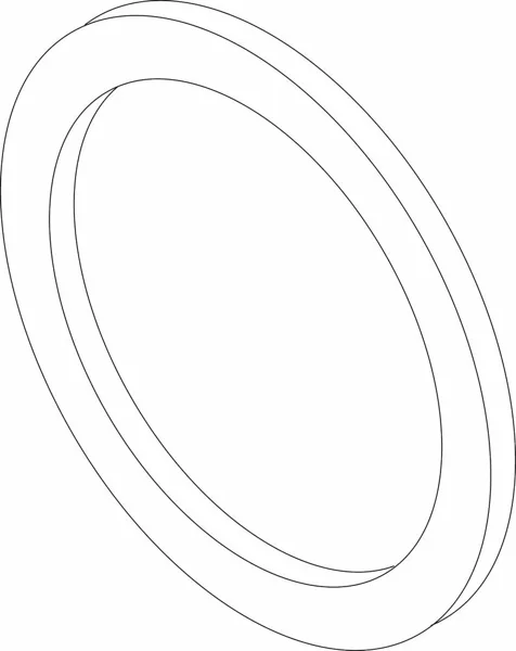 Bague d'étanchéité Nefit d60 x 48 x 3 mm (5 x )