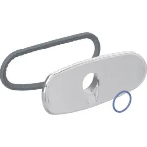Geberit dekplaat chroom voor WC-compleet, wandcloset 250.095.21.1