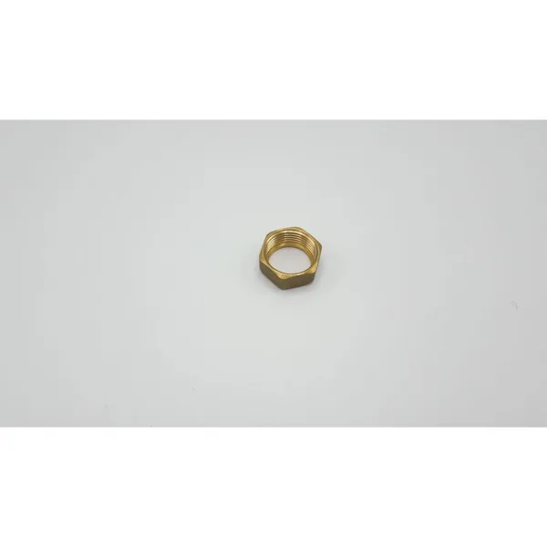 Remeha Wartel terugslagklep 7748844
