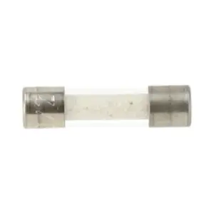 Remeha micro zekering 250V 2A 20x5mm 7695936