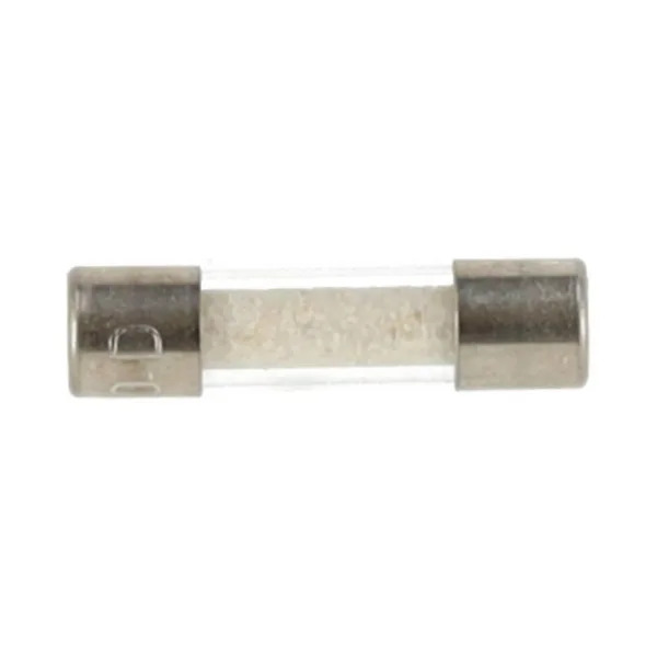 Micro-fusible Remeha 250V 4A 20x5mm 7695937