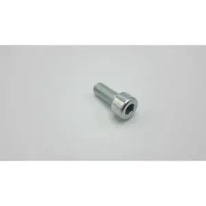 Remeha bout m8 x 20 mm voor o.a. RemaSOL 220/300SE station detail 300028534