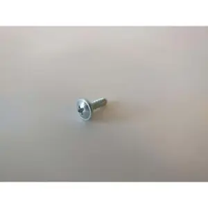 Remeha plaatschroef 3,9x13 voor o.a. Tzerra HP 40-5c 95770149