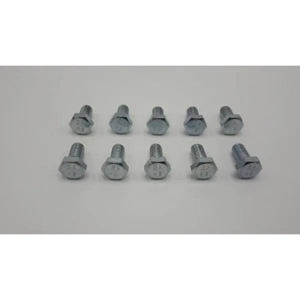 Boulon Remeha M6 x 12 mm (10 pièces)