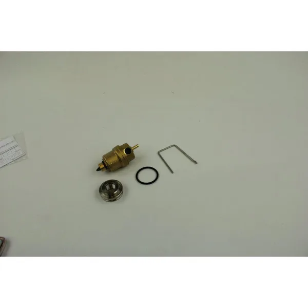 Kit purgeur Bosch pour notamment GC7000 WP 70 8738901735