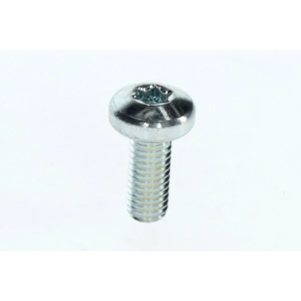 Nefit schroef M5 x 12 mm