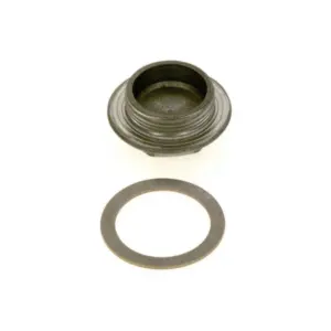 Buderus/Bosch blindplug G1.1/4 87185712580