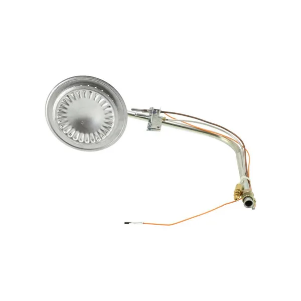 Remeha hoofdbrander na 2000 TM