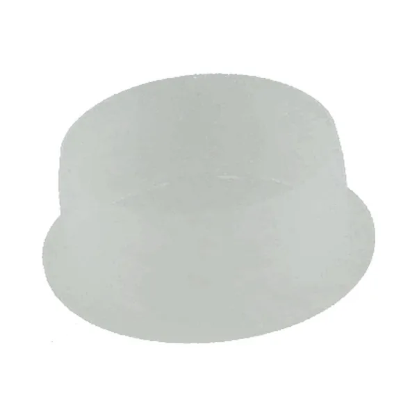 Bouchon de fermeture Remeha 40 mm